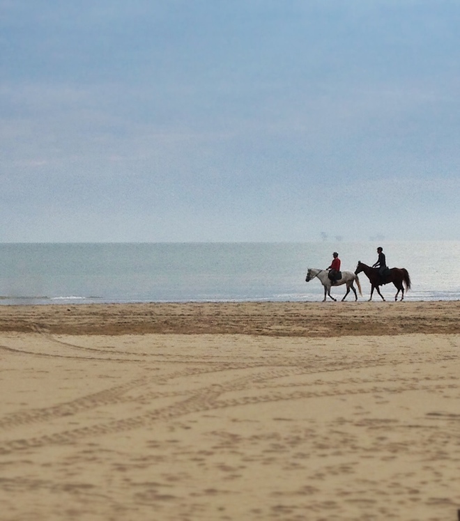 calmo-il-respiro-cavalli-in-spiaggia-e-orizzonte